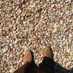 Low section of man standing on pebbles