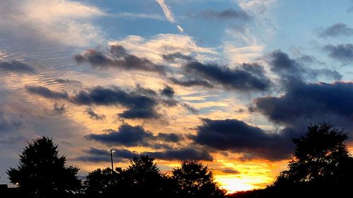 Low angle view of silhouette trees against sky during sunset