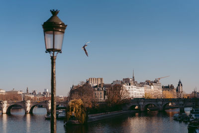 Bridge over seine river with paris city in background and a seagull