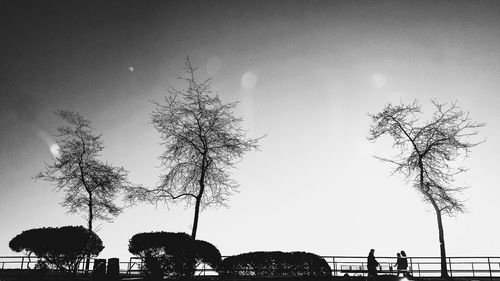 Silhouette trees against sky at sunset