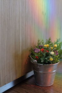 Close-up of potted plant on table