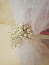 Close-up of white flowers
