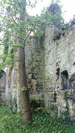 Old ruin building