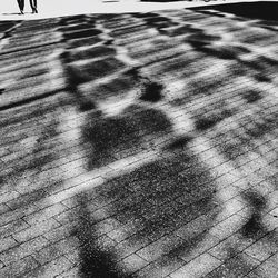 Shadow of people on tiled floor