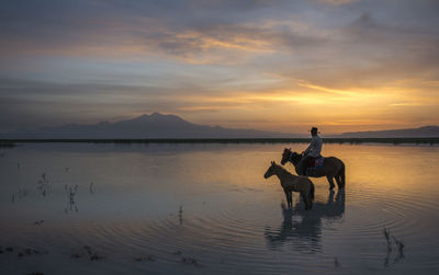 Man with horse and foal in lake against sky during sunset