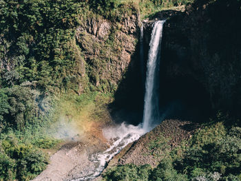 Scenic view of waterfall in forest