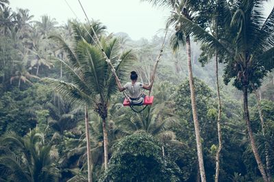 Young man on palm trees in forest