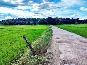 Scenic view of farm against sky