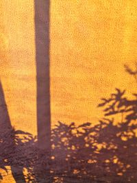Close-up of yellow shadow on wall