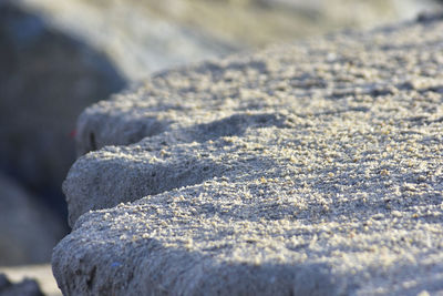 Close-up of rock on snow covered land