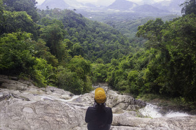 Rear view of man on mountain in forest