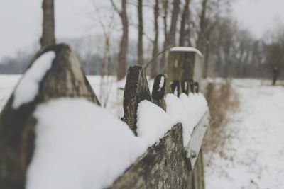 Close-up of snow on tree trunk in winter