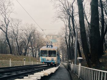 Tram moving amidst bare trees in city against sky