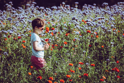 Boy wearing sunglasses while standing amidst flowering plants on field