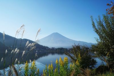 Scenic view of lake against clear blue sky