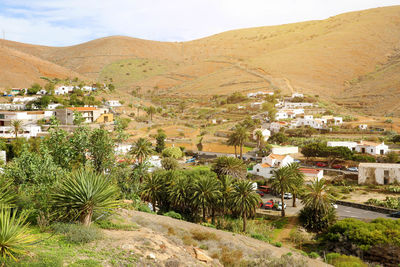 Cactus garden in the small town of betancuria, fuerteventura, canary islands