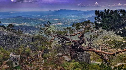 Scenic view of landscape against sky