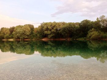 Reflection of trees in lake against sky