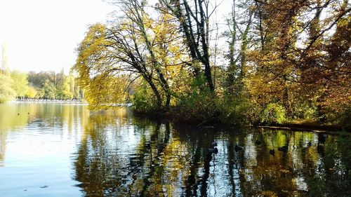 Scenic view of lake in forest during autumn