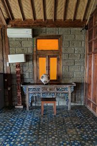 View of cat in corridor