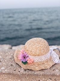 Close-up of pink flowers on rock at beach