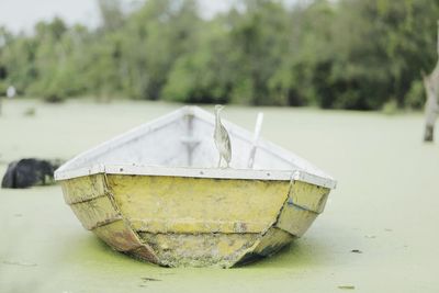 Close-up of abandoned boat