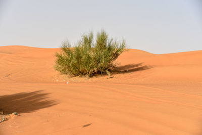 Sharjah desert area, one of the most visited places for off-roading by off-roaders