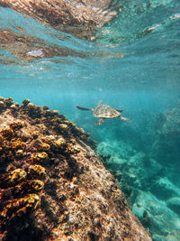 Scenic view of sea and rock formation