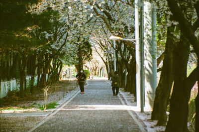 Walking on the flower