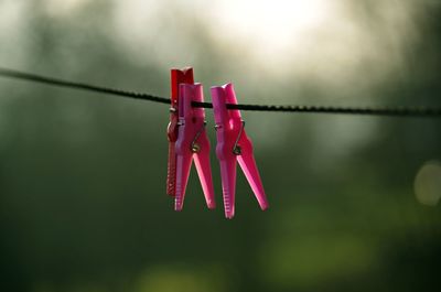Close-up of clothespins hanging on clothesline