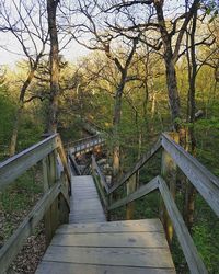 Wooden footbridge by trees