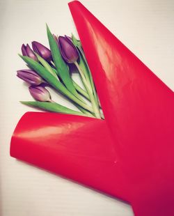 Close-up of red flower on table