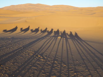 Scenic view of desert against sky during sunset