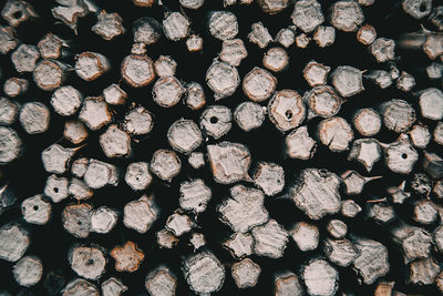 Full frame shot of logs in forest