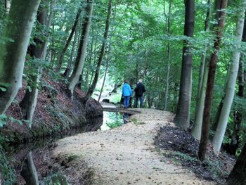 Rear view of people walking in forest