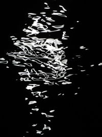 Abstract image of illuminated lights over black background