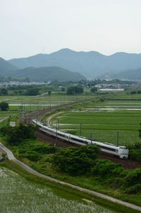 environment