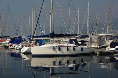 Sailboats in marina