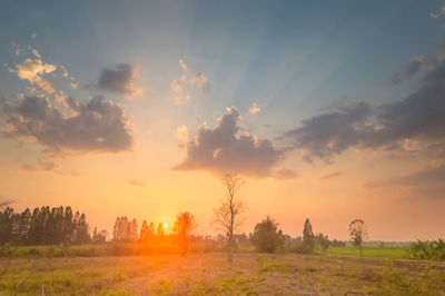 Scenic view of field against sky during sunset