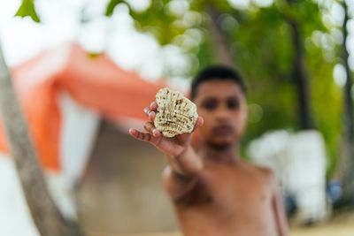 Close-up of boy holding seashell