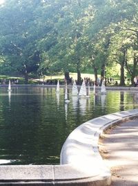 Reflection of trees in water