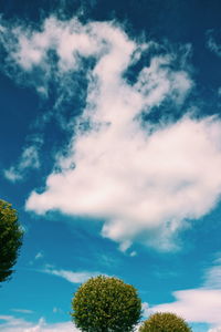 Low angle view of trees against sky