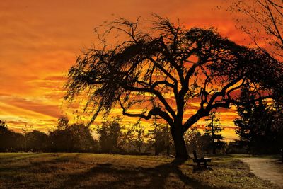 Silhouette trees on landscape against sky at sunset