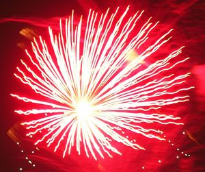 Firework display at night