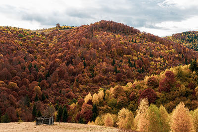 Beautiful autumn landscapes in the romanian mountains, fantanele village area, sibiu county, romania