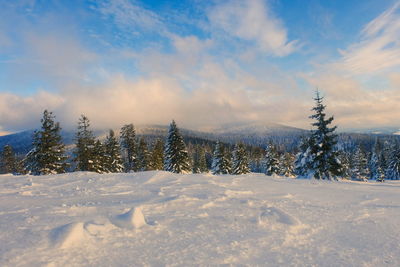 Scenic view of snow covered field against sky