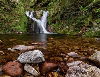 Scenic view of waterfall in forest