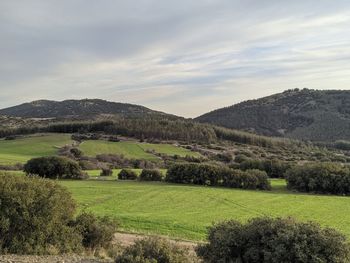 Scenic view of landscape against sky