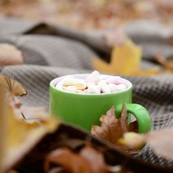 Close-up of leaves in bowl on table