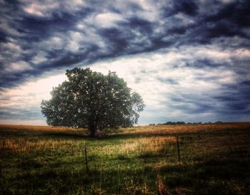 Scenic view of grassy field against cloudy sky